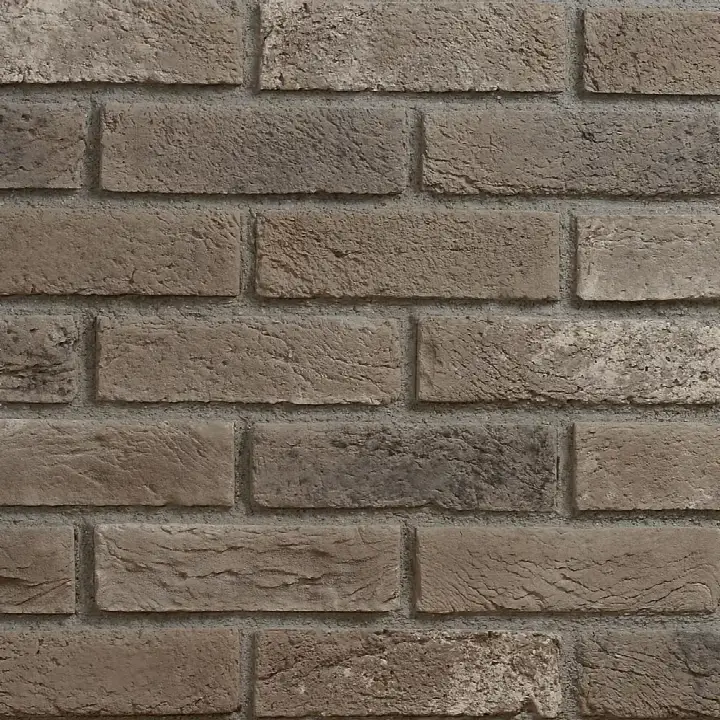 Thin Brick Arena kültür tuğlası
